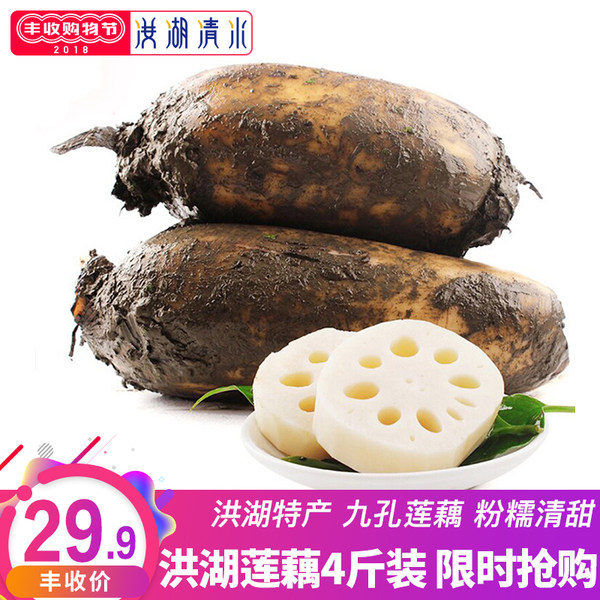 湖北特产 洪湖清水 粉莲藕 带泥现挖发货 4斤 天猫优惠券折后￥19.9包邮（￥29.9-10）