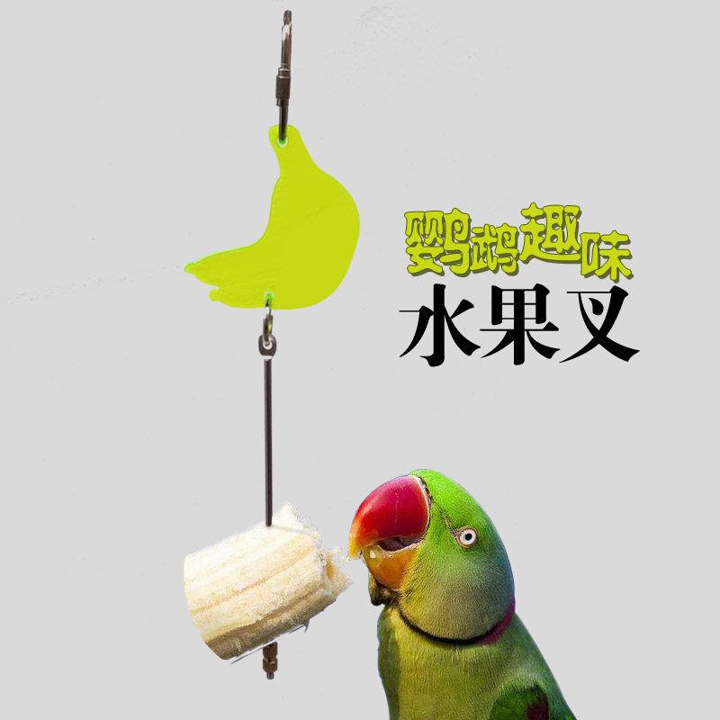 Yue Di pet bird parrot supplies Stainless steel bird food fruit stick fruit fork