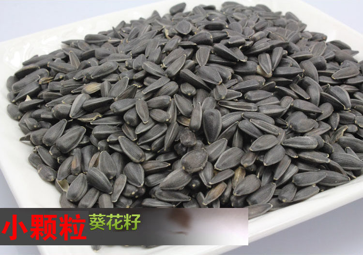 Cantonese di Little Cockatoo Parrot Bird Food Feed Sunflower Seeds Raw Oil Sunflower Black Pearl Small Grain Birds Snacks Feed 150G