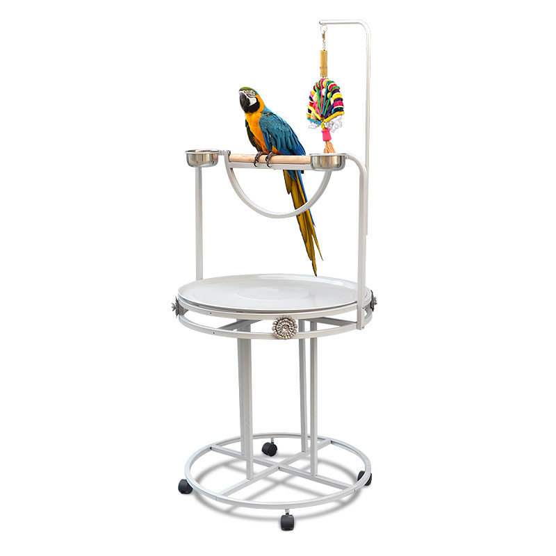 macaw stand
