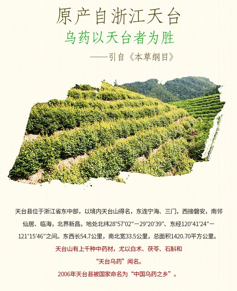 Taiwu Nhãn hiệu Uygur Thuốc Huangjing Granules Gói 4g * 40 Gói Tiantai Wu Yao Huang Jing Sản phẩm sức khỏe Quà tặng trung niên - Thực phẩm sức khỏe viên uống bổ sung