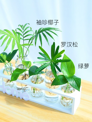 Nordic ins feng гидропонный ваза прозрачный