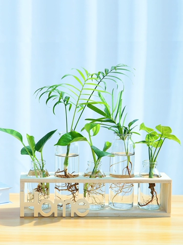 Nordic ins feng гидропонный ваза прозрачный