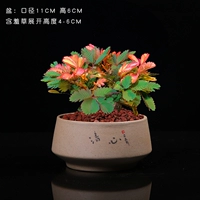 Пламя Мимон [Чистое сердце]