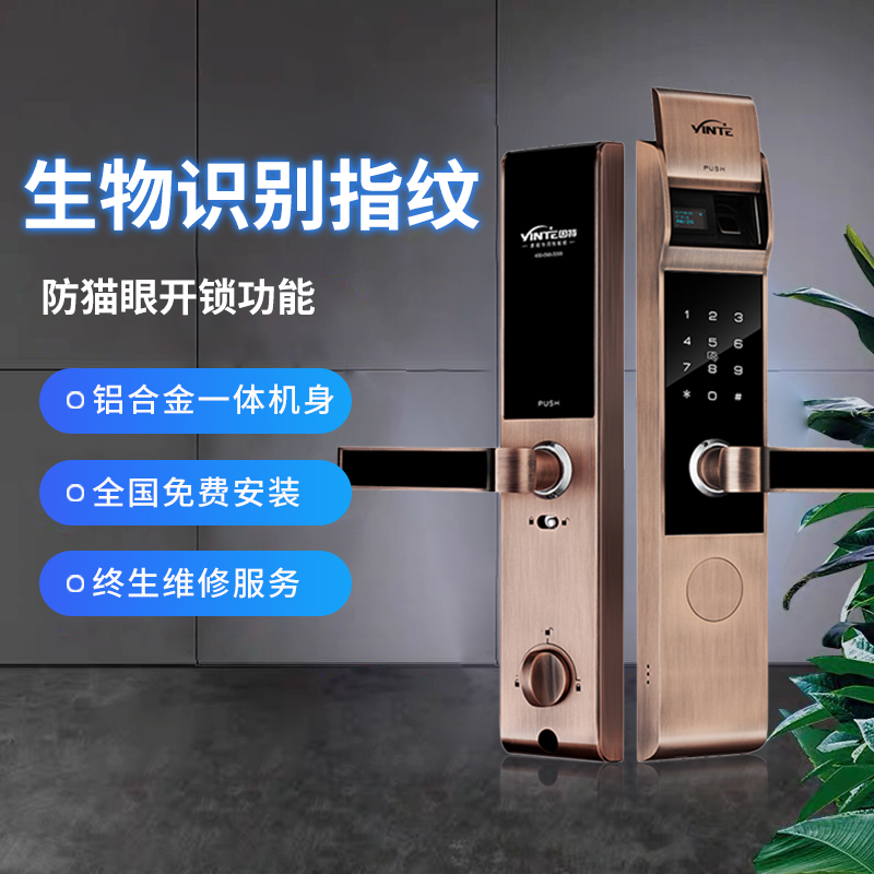 Inte Fingerprint Lock Home Security Door Lock Security Intelligent Lock New Universal Electronic Lock Code Lock Y5500S