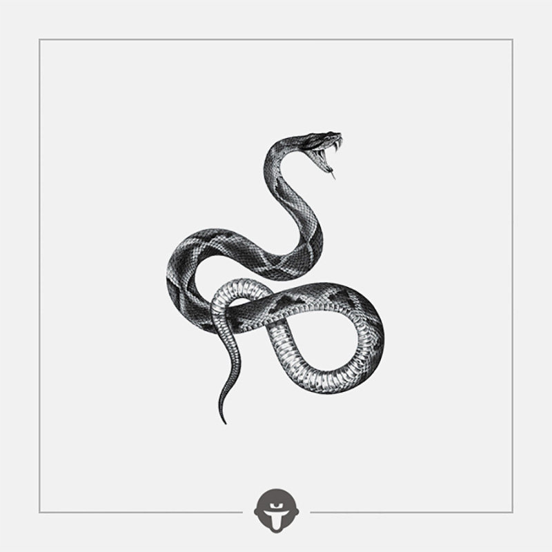 Change again@become tattoo waterproof sticker durable gender mess with me black and white snake Pa tide cool original flower arm