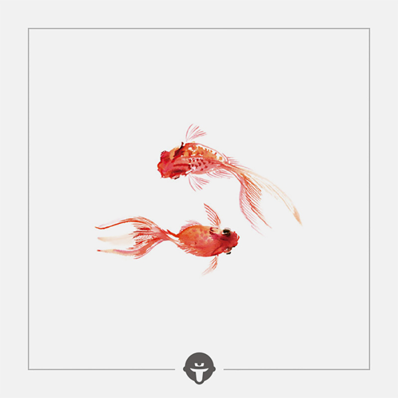 Change again@become tattoo waterproof stickers lasting female self-swimming free goldfish small fresh original ancient style stickers