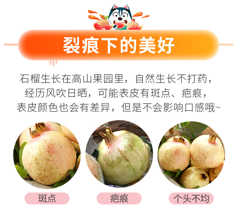 王小二 云南蒙自甜石榴 净重10斤 图11