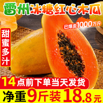 Leizhou rock sugar red heart papaya 9kg season green skin papaya milk fresh fruit box ripe 10