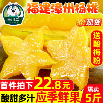 Fujian Zhangzhou carambola 5kg fresh fruit red peach should season whole box of sweet and sour peaches wholesale Shunfeng