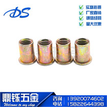 Cylindrical rivet nut Rivet nut Flat head column pattern rivet nut Rivet cap Color zinc knurled Rivet nut