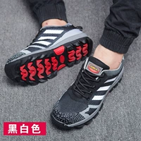 Черно -белое летающее ткацкое дыхание -Оксфорд Дали