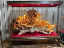 Taihang cliff root carving big harvest ornaments tree roots Buddha statue Guan Gong natural wood carving Maitreya carving crafts ornaments