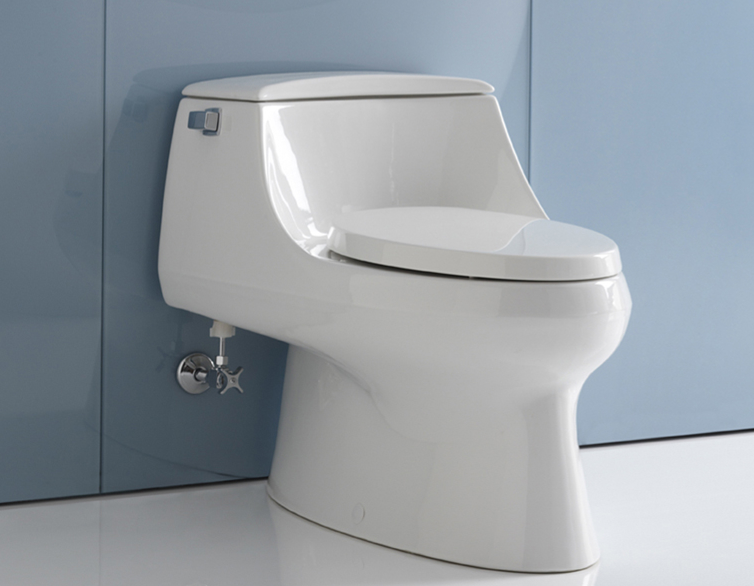 Taocou Toilet Toilet Toilet Toilet Toilet San Rafael Five cyclone corridor siphon-type irony pumping water