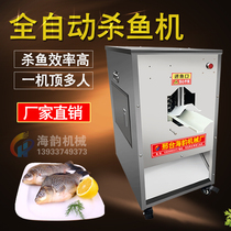 Automatic fishing machine size type commercial scale removal belly fishing machine