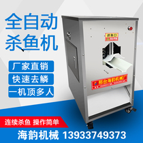 Automatic fish killing machine to scale open belly open back integrated machine commercial fishing machine fish scale planing