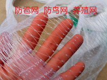 Bird-proof nets Orchard Anti-bird nets Grape Netting Anti-Hail Nets Rice Valley Protective Nets Shrimp Pond Fish Pond Mud Loach Blueberry Nets