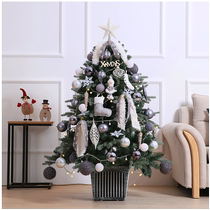 Luxurious encrypted non-falling powder environmentally friendly PE Christmas tree package home ornaments Christmas decorations scene layout