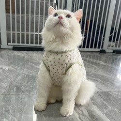 Internet-Famous Cat Pet Clothes, Spring and Summer Thin Sleeveless Breathable Anti-Shedding Vest with Floral Design, New Style for All Seasons