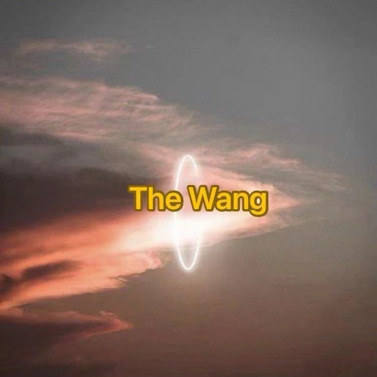 TheWang男装店的LOGO