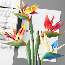 Emulation Tiantang Birds Cranes plastic flower plantain leaves Green Planted Living Room Furnishing Fake Flower Decoration Hotel Ground Flower Arrangement