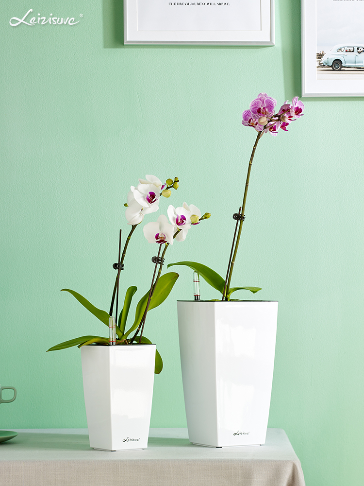 High square plastic simple desktop balcony automatic suction water storage pot butterfly orchid pot lazy flower pot white