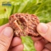 John Farm Dog Snacks Grain Beef Molar Rod Beef Dog Dog Dog Phần thưởng cho chó Pet Dog Small Dog Beef Block - Đồ ăn vặt cho chó Đồ ăn vặt cho chó