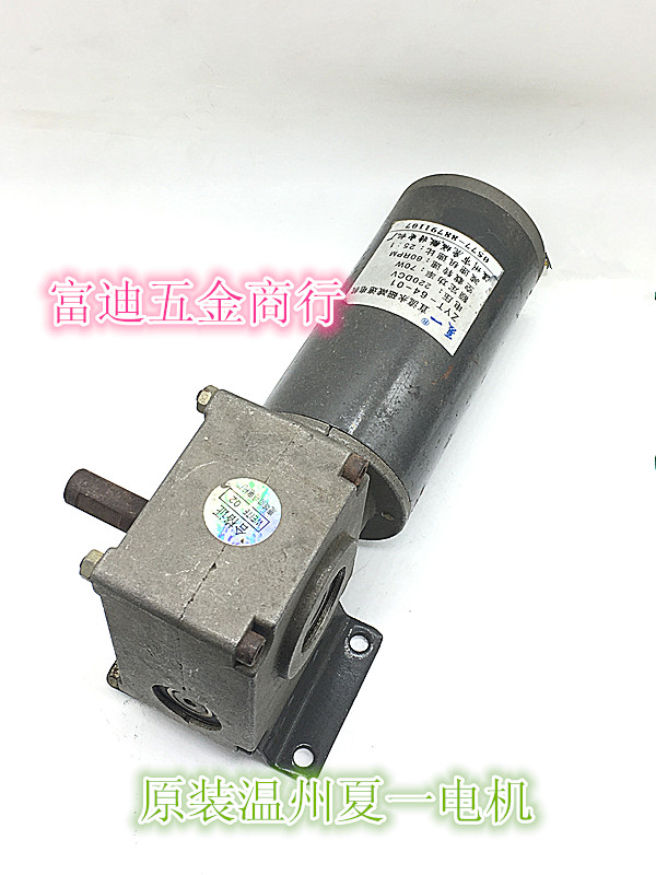 Summer One Wenzhou Luchengwete Electric machinery plant DC permanent magnet reduction motor ZYT64-01 70W 220VDC