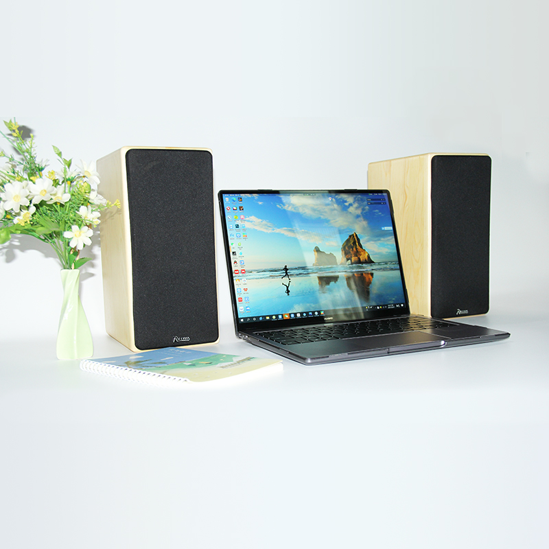 Racoon Passive Speaker Full Frequency Solid Wood Firing Grade Hifi High Fidelity Home desktop bookshelves Place Acoustics