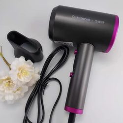 PCHOIN 헤어 드라이어 전기 주전자 건강 주전자