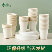 Tianchun paper cup disposable cup household wedding whole box coffee cup hot drink milk tea cup thick commercial Cup