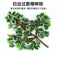 Белый баньян Баньянские филиалы