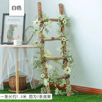 Хаки 13 -голово