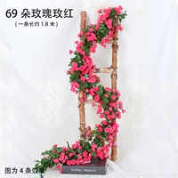 Blue Rose Red-69 Rose