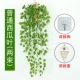 Cây mô phỏng hoa giả mây nho cây xanh treo tường trang trí phòng khách nội thất treo hoa lan trang trí treo tường giỏ lá xanh - Hoa nhân tạo / Cây / Trái cây hoa mộc lan giả