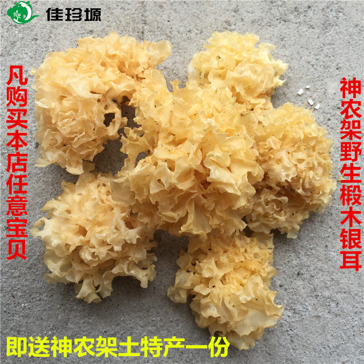 Shennongjia wild Basswood small silver fungus White fungus Snow fungus Waxy ear natural sulfur-free Sheng Gutian Tongjiang 100g