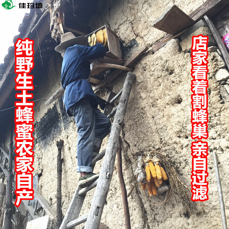 Deep Mountain Native Honey Natural Pure Wild Liquid Honey Farm Homemade Crystalline Honey Hundred Flowers Nectar 500g