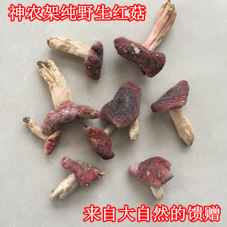 Shennongji Special Production Deep Mountain Red Aunt Wild Authentic Red Mushrooms Dried Goods Edible Mushrooms Red Mushrooms Red Mushroom Fungus