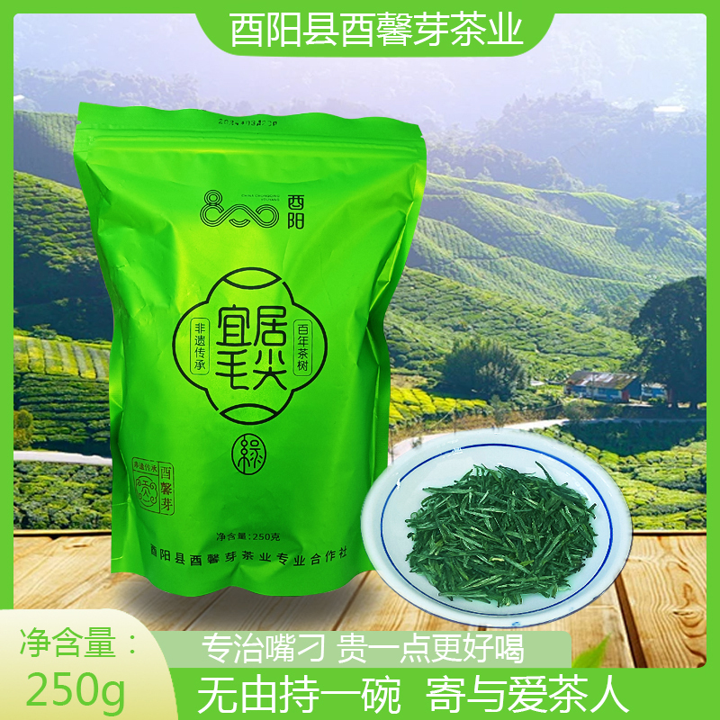 Youyang 800 Youxin Ya Tea, Suitable for Living In, Packaged in Bags, 100g 