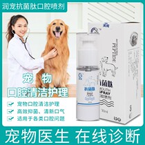 Moisturizing Oral Spray Kittens Oral Ulcer Tooth Periodontitis Doggy Mouth Odor Cleaning Oral Bleeding Cat Herpes Inflammation