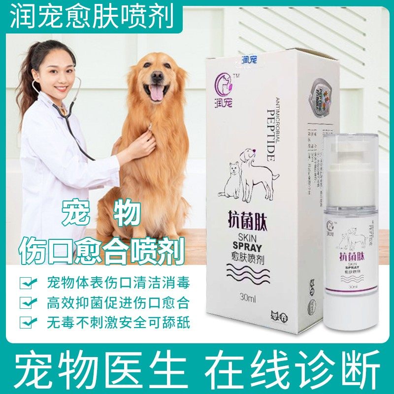 Moisturizing Skin Spray Dogs Pussy Atopic Dermatitis Eczema Cat Postoperative Wound Healing Bacteria Infections