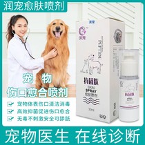 Moisturizing Skin Spray Dogs Pussy Atopic Dermatitis Eczema Cat Postoperative Wound Healing Bacteria Infections