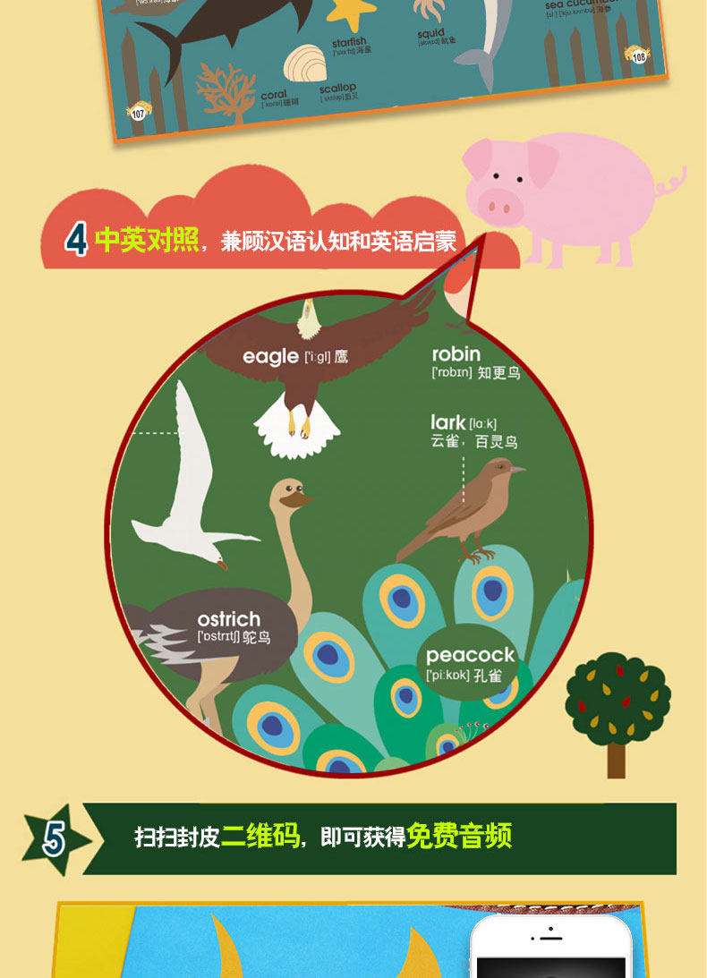 可点读全彩硬壳双语音频丨儿童幼儿英语单词大