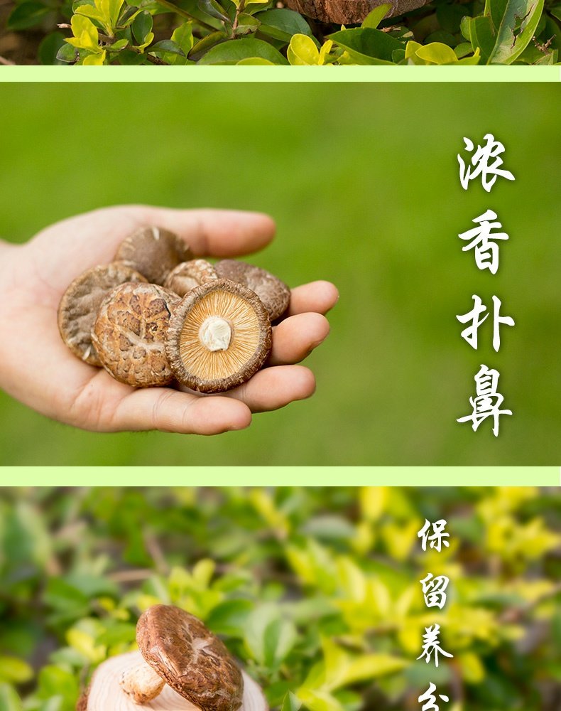 【林中宝】粤北椴木香菇150g