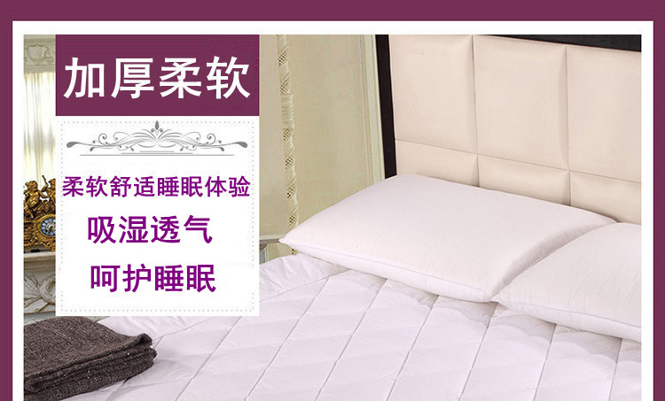 Ai Si 缦 đệm nệm 1.8m giường 1,5 m giường nệm pad có thể gập lại đôi đệm tatami mat