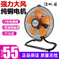 Can shake the head floor fan ground fan shaking head 450mm electric fan household commercial desktop electric fan pure copper high power