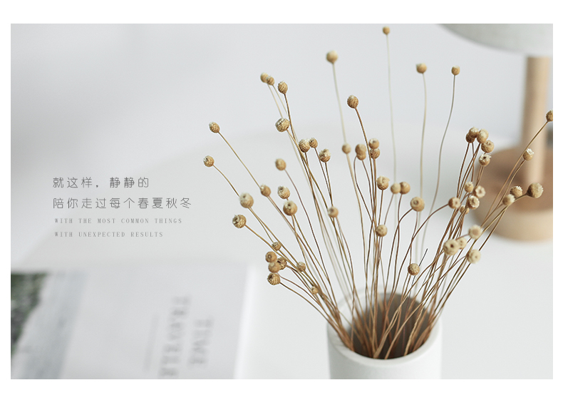 Nan sheng I and contracted Europe type hemp rope ceramic vase simulation flower, dried flower flower flower arranging household act the role ofing is tasted furnishing articles