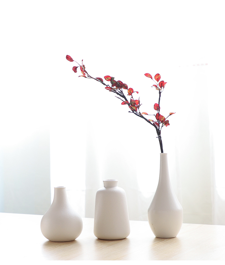 Nan sheng I and contracted simulation artificial flowers ins household act the role ofing is tasted ceramic vase hydroponic flower arranging flowers, mesa furnishing articles