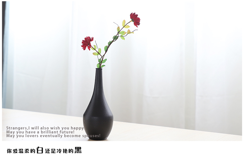 Nan sheng I and contracted simulation artificial flowers ins household act the role ofing is tasted ceramic vase hydroponic flower arranging flowers, mesa furnishing articles