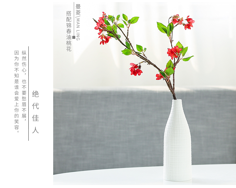 Nan sheng mesa of I and contracted sitting room place adornment simulation flower, dried flower ceramic vase household act the role ofing is tasted